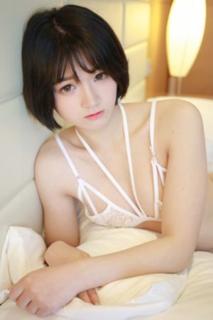 免费碰碰视频在线观看-片花完整在线观看